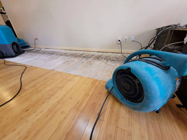 Professional Ceiling Water Damage Repair technician working in Ellsworth, ME